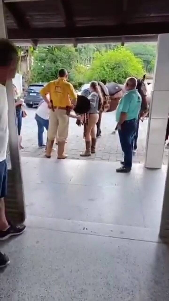 Una yegua asistió al funeral de su dueño en Brasil y su reacción frente al ataúd se volvió viral