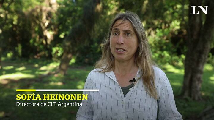 Sofía Heinonen. La guerrera que lucha por la vuelta del yaguareté a los Esteros del Iberá