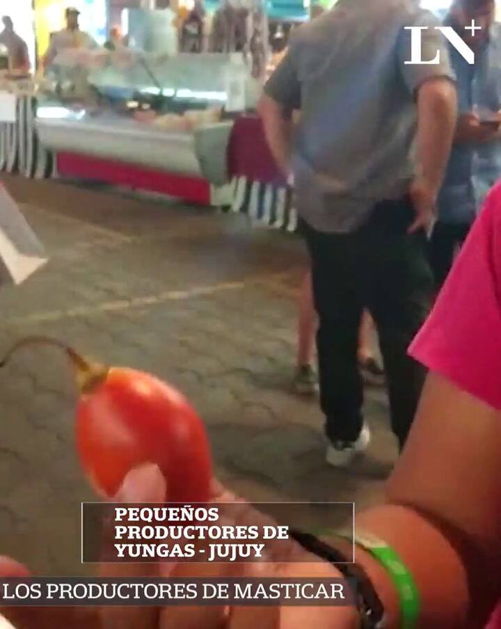 Feria Masticar: pequeños productores de yungas desde Jujuy