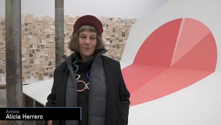 Conjeturas Entrevista A Alicia Herrero