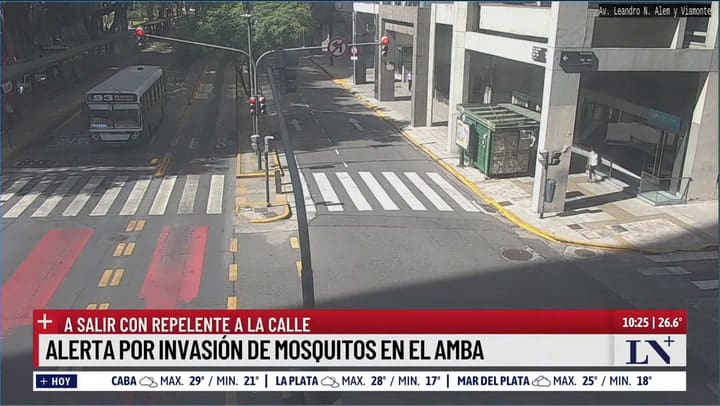 Alerta en el AMBA: volvieron los mosquitos y aumentaron los repelentes