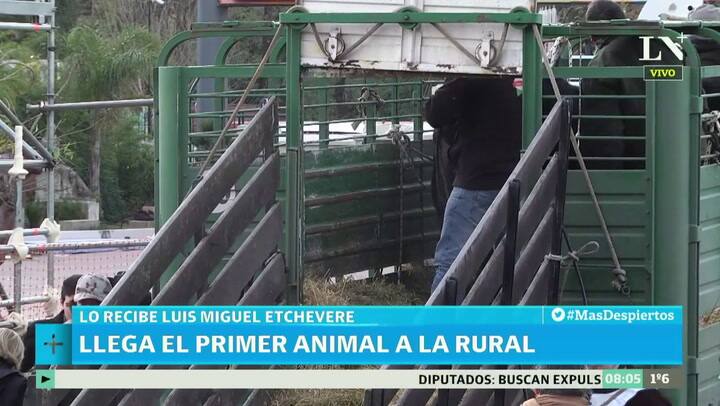 Llega 'Don Pablo' a La Rural