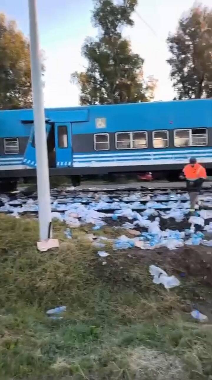Choque en Pilar: un tren embistió a un camión y afectó el servicio del San Martín