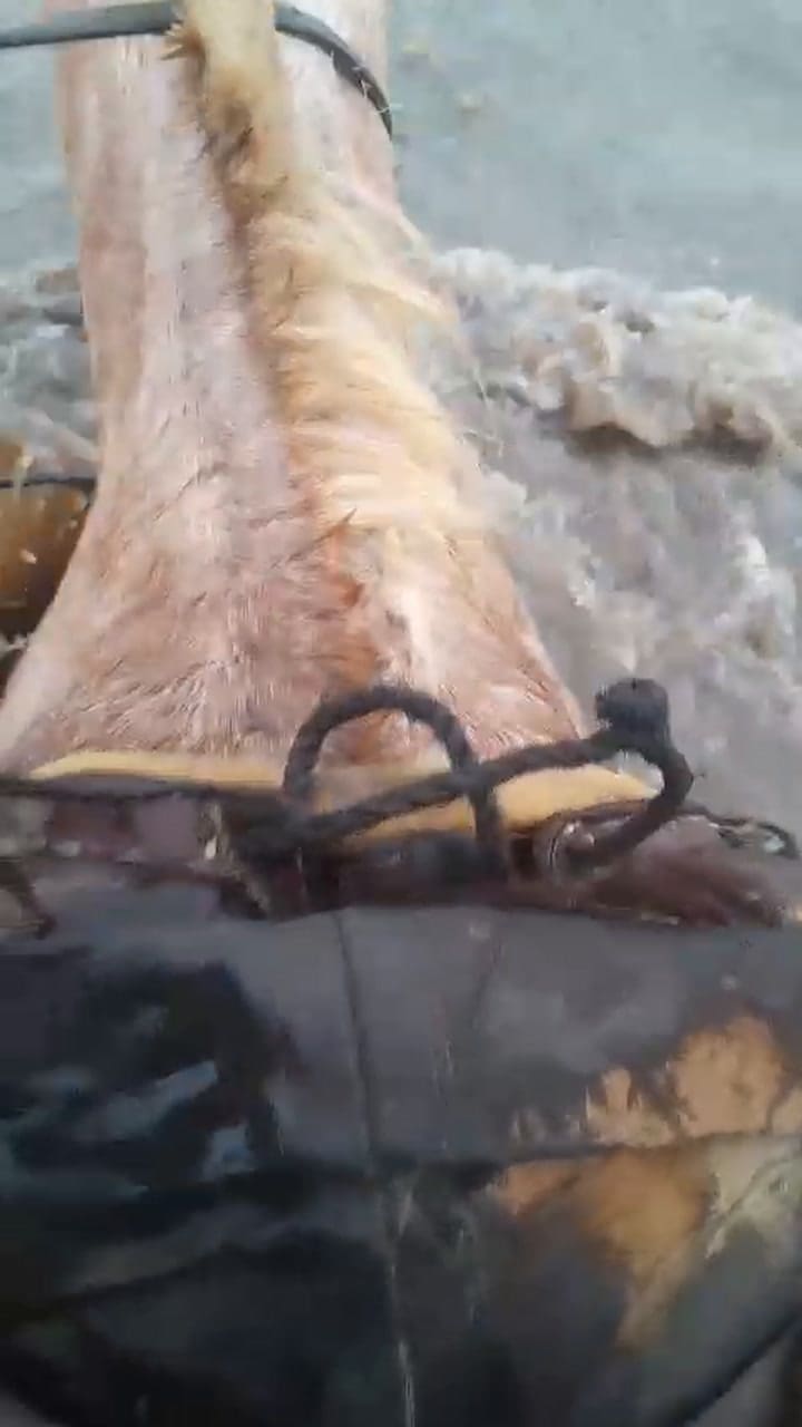 Inundaciones en Santa Fe