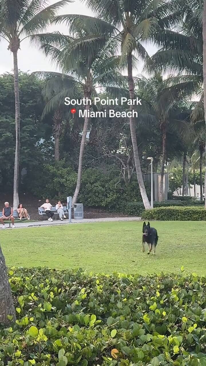 La playa de Miami que se volvió la preferida de argentinos