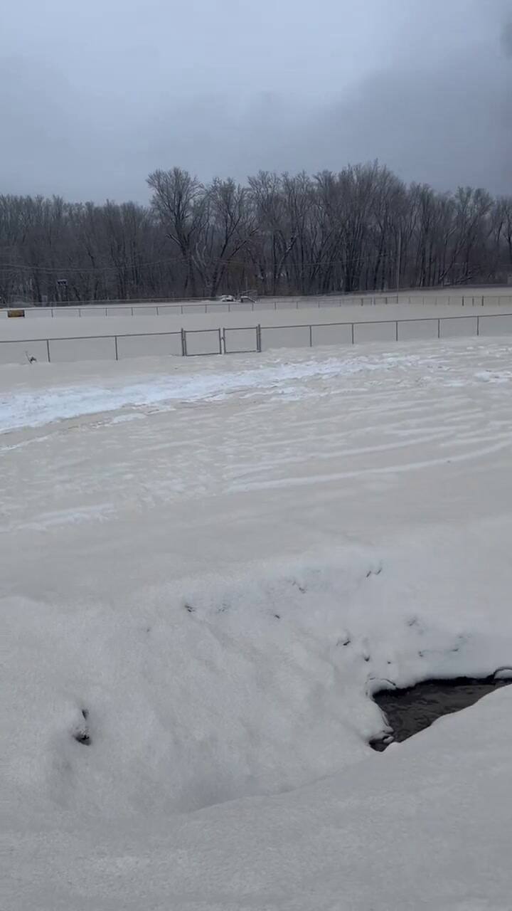 Nieve marrón en Maine