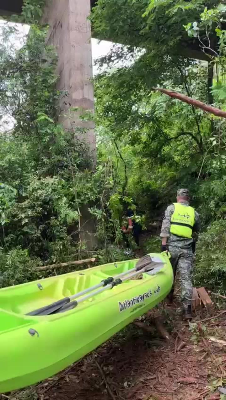 Tragedia en una ruta: nueve muertos tras un choque en Misiones