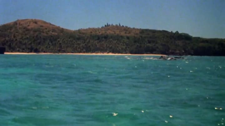 La película original se estrenó en 1980