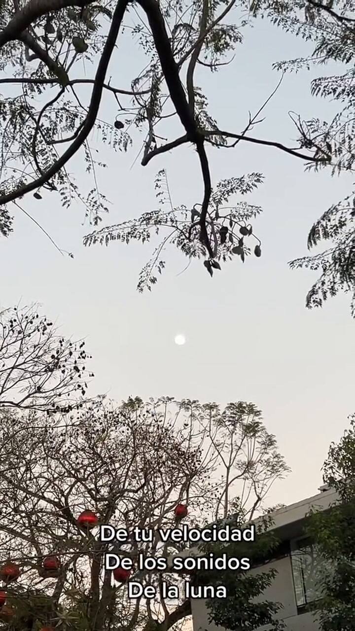 Caminata de la gratitud