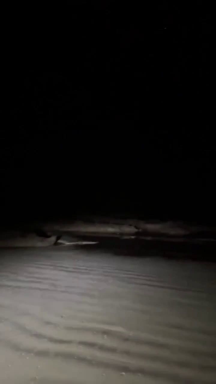 El mar se retrotrajo en Islas Galápagos