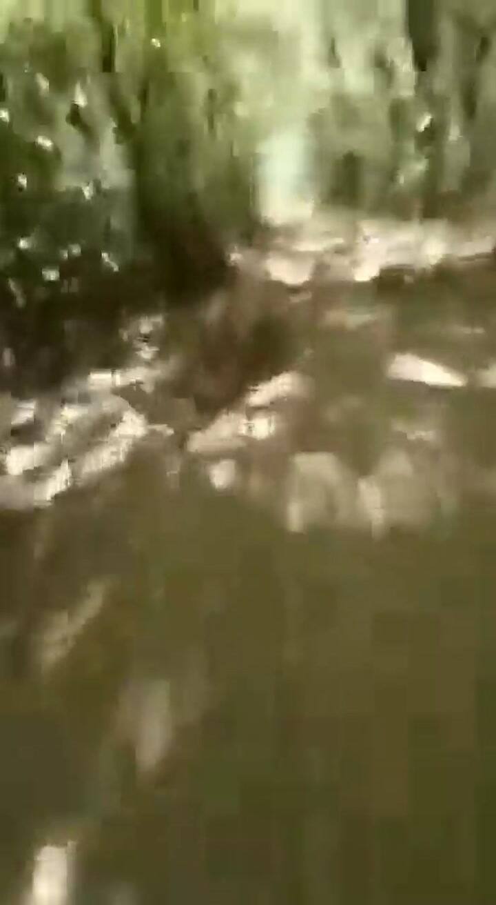 Una ciclista grabó el momento en el que le dispararon para robarle la bicicleta