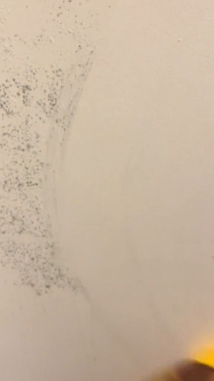 La acción del vinagre para desactivar la humedad