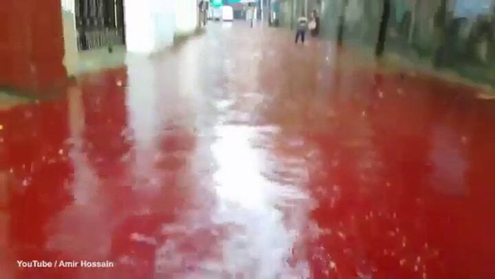 Sacrificio de animales convierte las calles de Dhaka en ríos de sangre