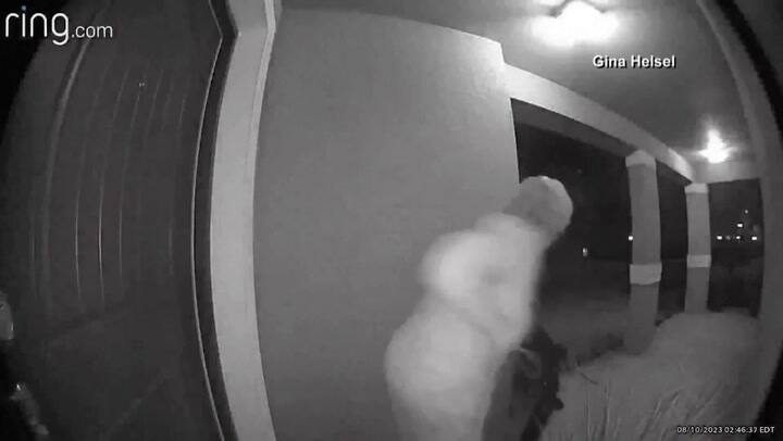 Una residente de Florida se encontró con un inesperado visitante en la puerta de su casa