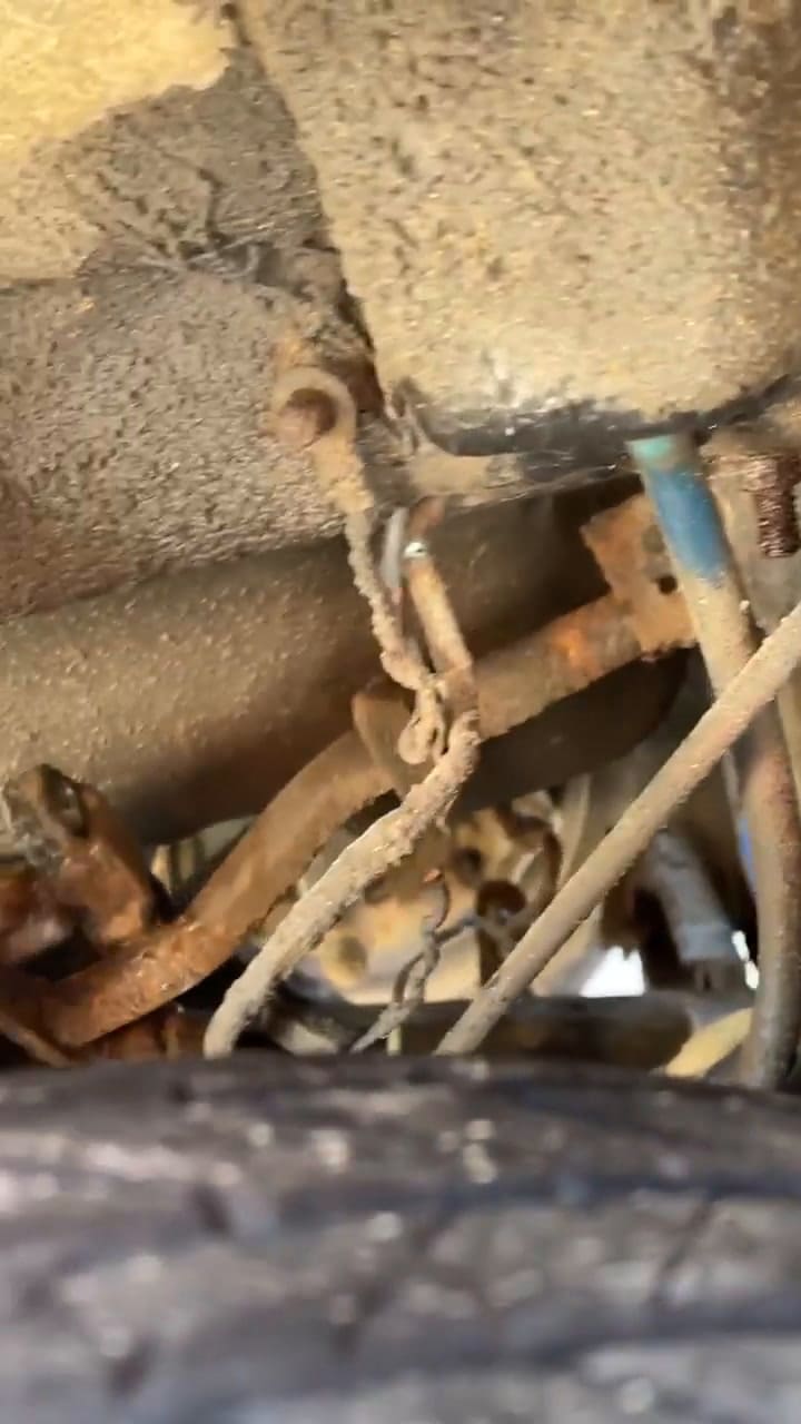 Evangelina Trotta contó en febrero lo que le ocurrió a uno de sus vehículos