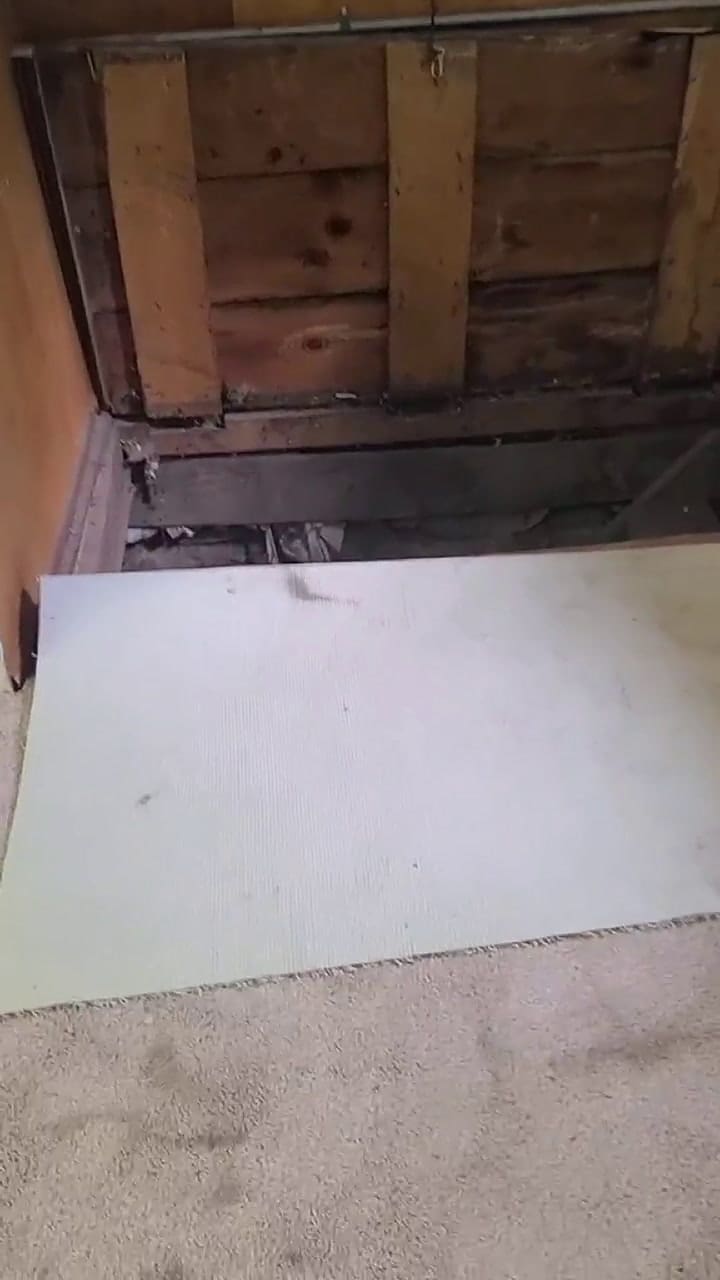 Encontró una antigua bodega repleta de comida debajo de su nueva casa