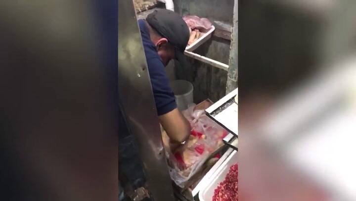 Imágenes del momento del allanamiento en la pollería