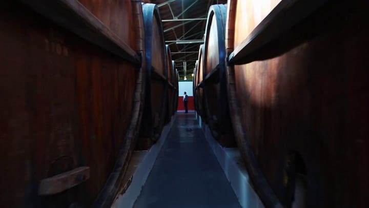 Bodega Uxmal
