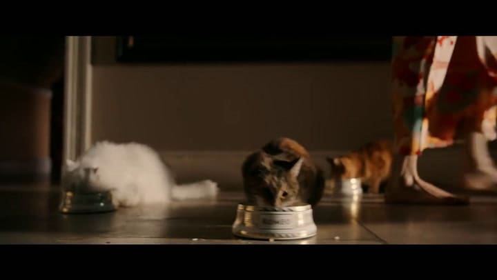 Trailer de Bohemian Rhapsody - Fuente: YouTube