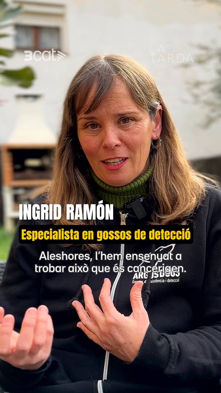 La historia de Blat, el perro que detecta el cancer con el olfato