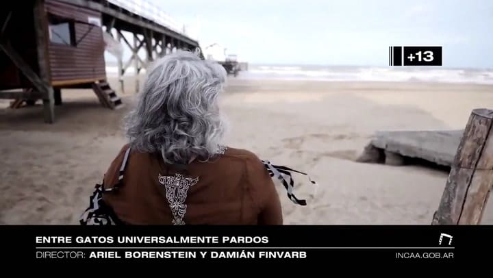 Trailer de Entre gatos universalmente pardos - Fuente: YouTube