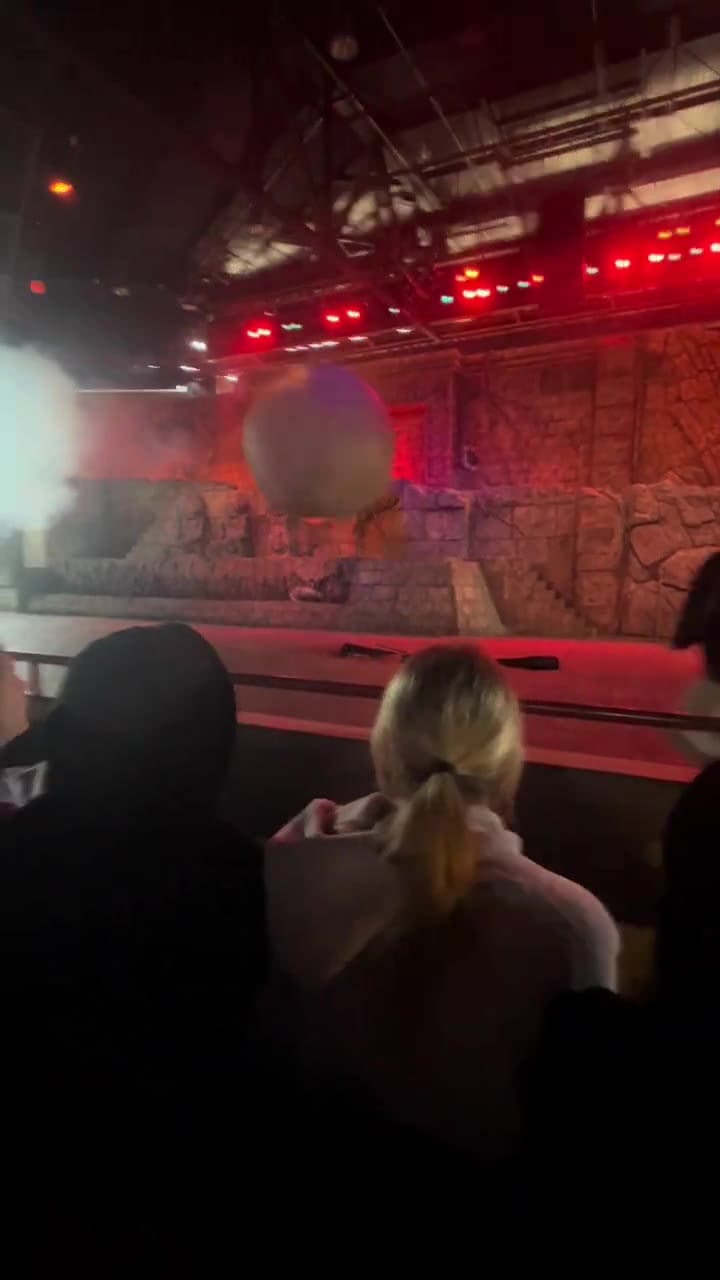 El trabajador que frenó una bola de 180 kilos en Disney, en Florida