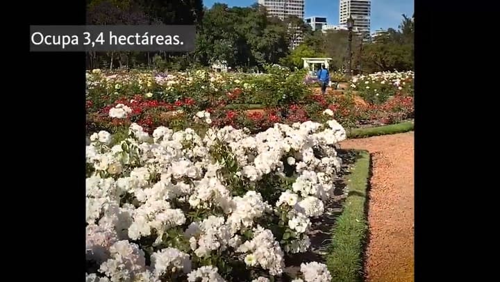 El Rosedal de Palermo - Revista Jardin
