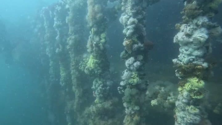 Bucear en barcos hundidos a 40 metros de profundidad (Gentileza Opus Buceo)