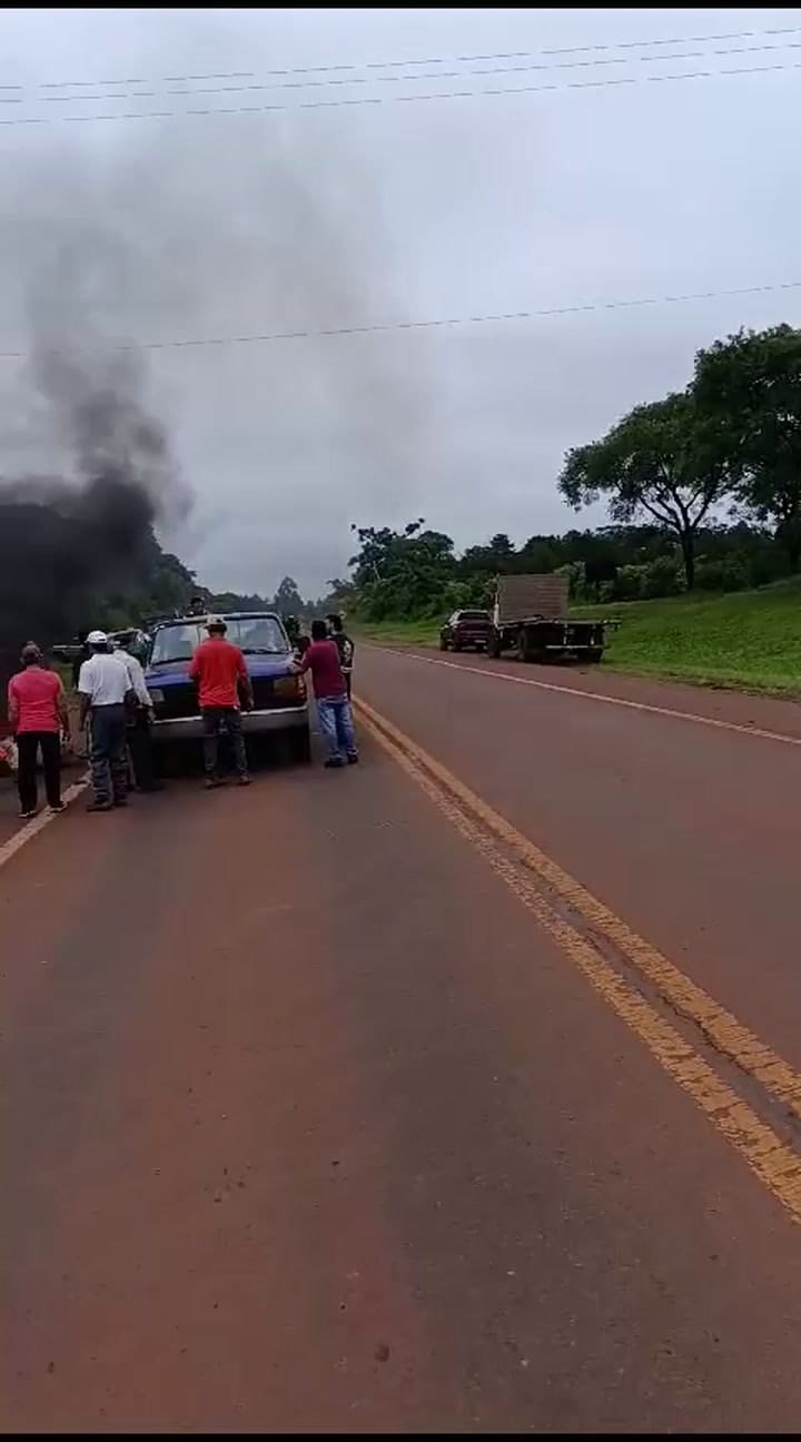 PRODUCTORES DE YERBA