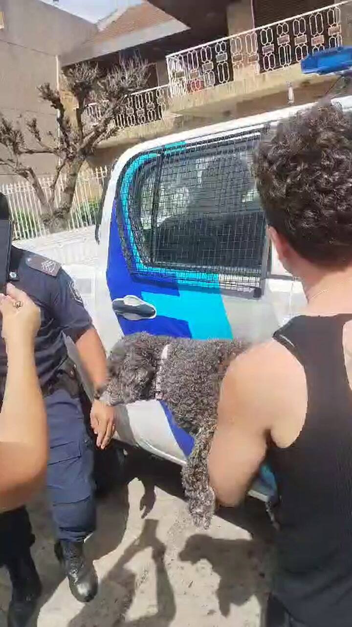 Detención Villa Bosch