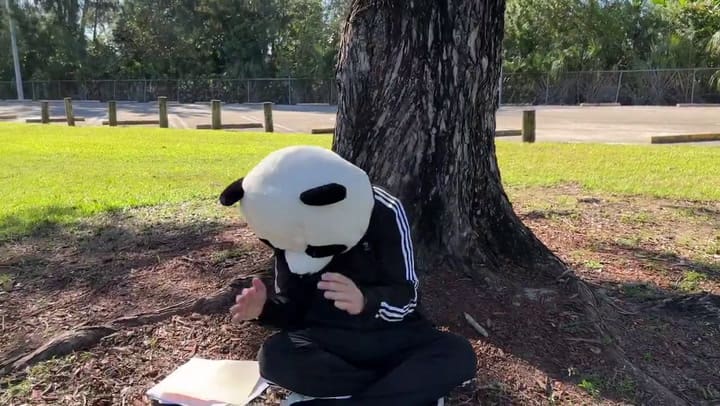 2 City Of Miami En X The City Of Miami Teams Up With The IRS To