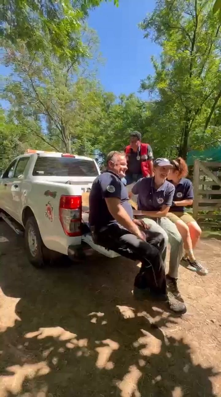 El último día de evaluación de los animales