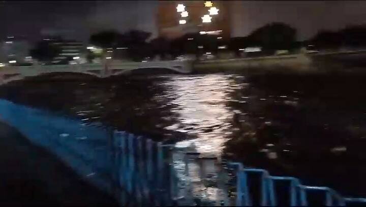 Whatsapp Video 2024-01-07 At 14.35.49 (1)