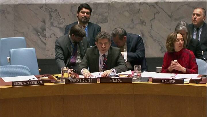 Rusia niega en la ONU estar detrás de envenenamiento a exespía - Fuente: AFP