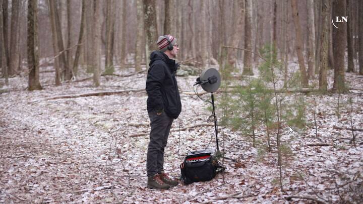 Arte sonoro: Stephen Vitelo