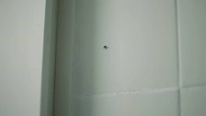 Babasónicos, 'Cretino' - Fuente: Youtube