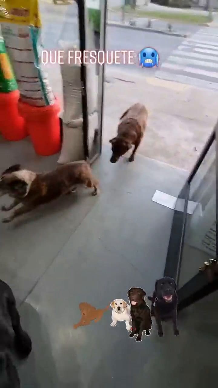 Uno de los videos que más visualizaciones alcanzó en TikTok