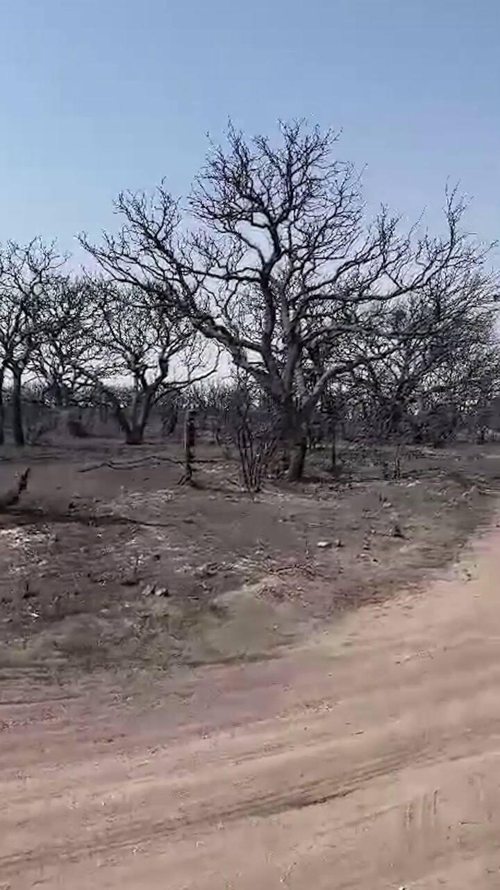 Video Los daños que causó el incendio en Cordoba