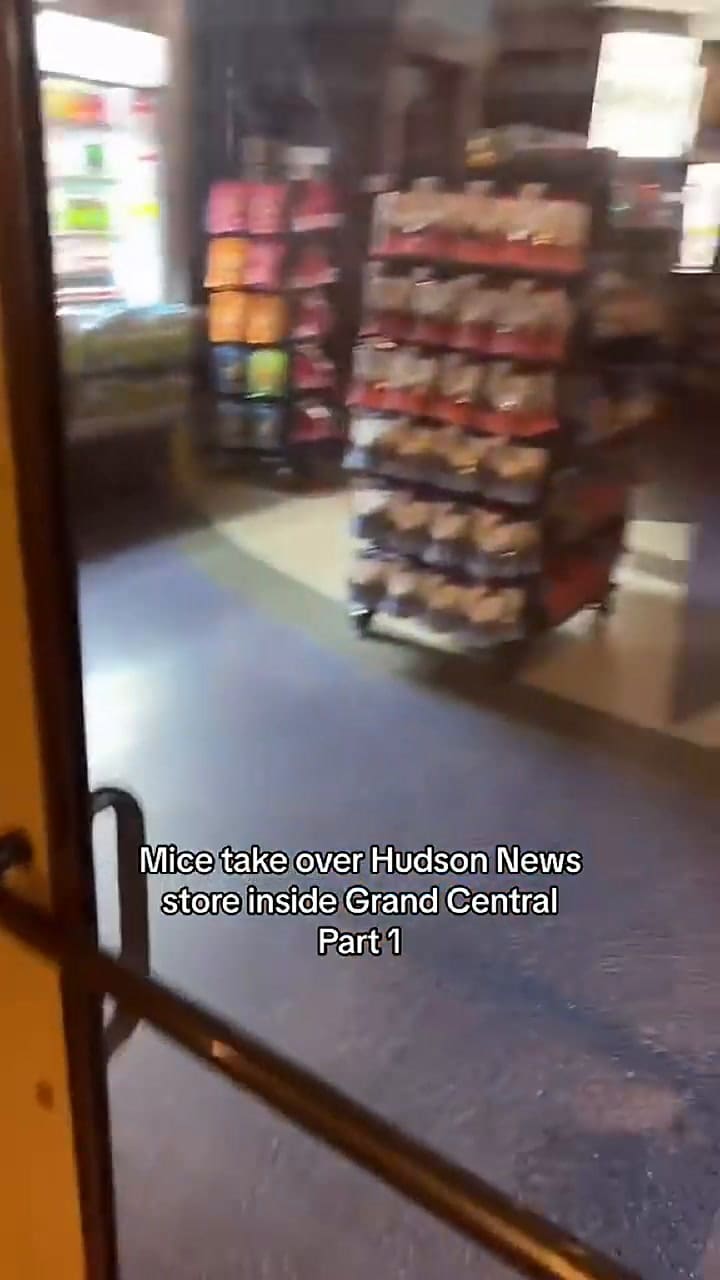 Se hizo famoso por publicar videos de ratas en Nueva York