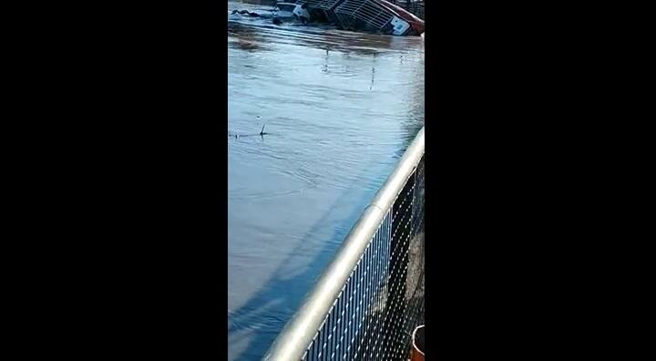 En Gualeguay. Se le murió ahogada parte de la hacienda al darse vuelta una barcaza