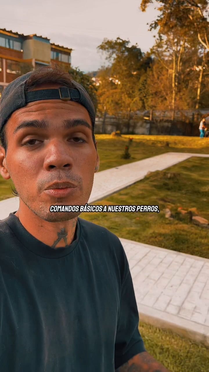 Entre Más Le Hablen A Sus Perros Menos Les Van A Entender. La Forma Principal De Comunicación Que Tienen Nuestros Perros Es Visual, Por Ende, Primero Debemos Bajar A Su Nivel De Comunicación Para Lograr Que Ello