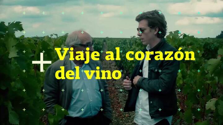Viaje al corazón del vino L evangile