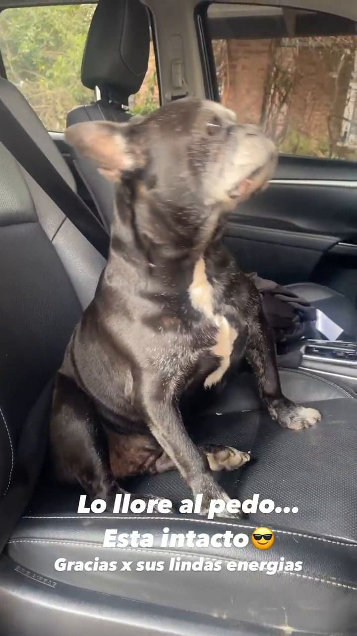 La historia que compartió Paula Chaves en su cuenta de Instagram