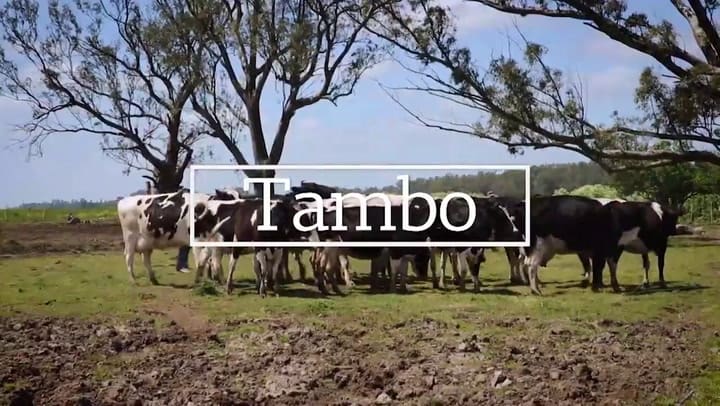 LN+ Campo - El trabajo de una empresa familiar en un tambo