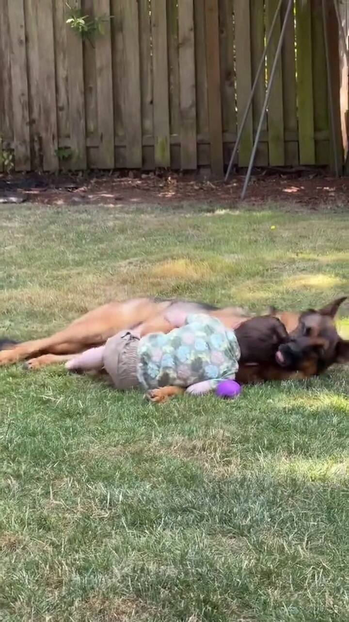 Ssstwitter.com 1728144001158