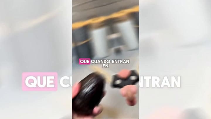 El truco para evitar que la palta se oxide, según una ingeniera en alimentos