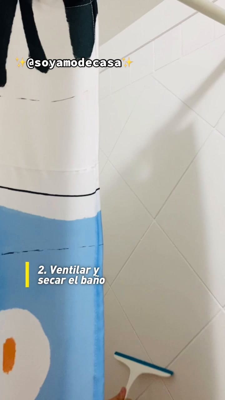 Tips para evitar el moho y la humedad