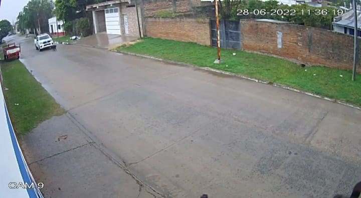 Un policía atropelló a un perro