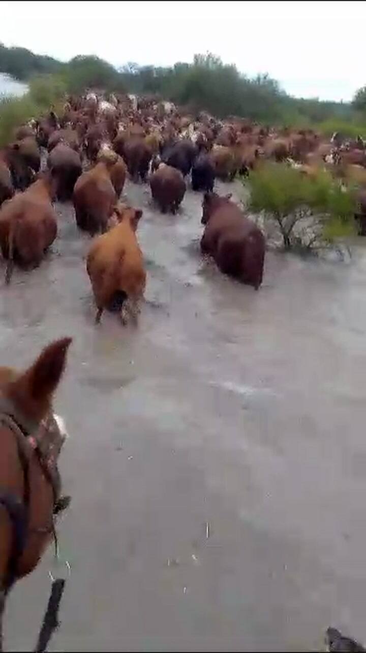 Campos anegados en Cote Lai, Chaco