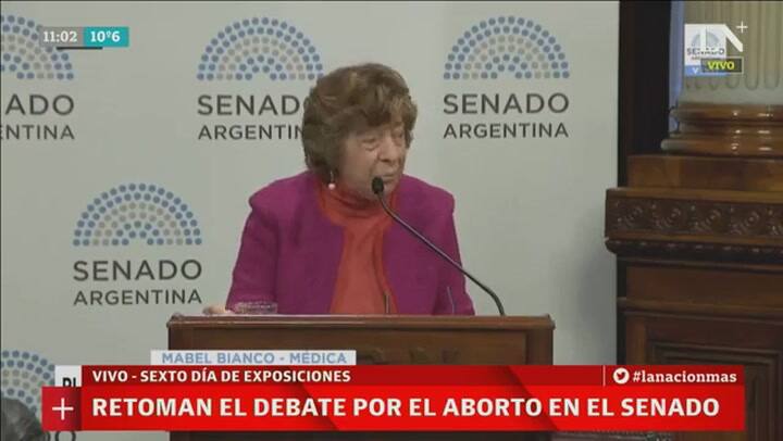 La presentación de Mabel Bianco en la sexta jornada de exposiciones por el aborto en el Senado